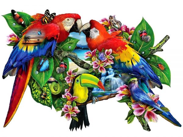 Parrots in Paradise Shaped