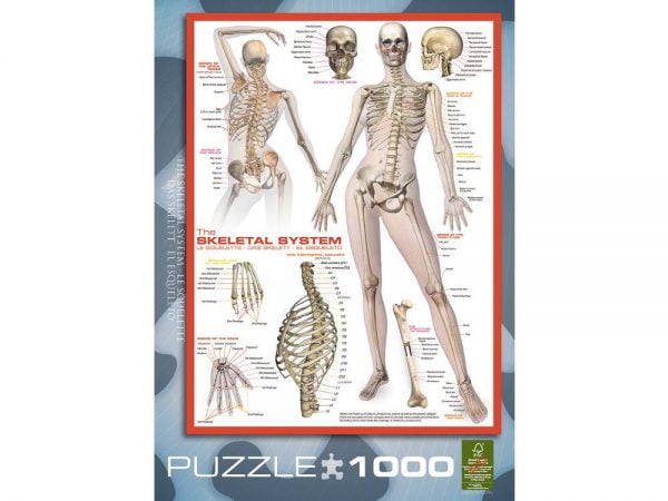 The Skeletal System 1000 PC Jigsaw Puzzle