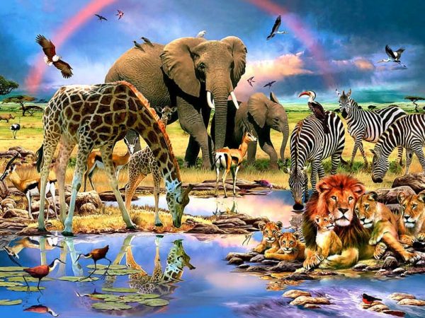 Watering Hole 500 PC Jigsaw Puzzle