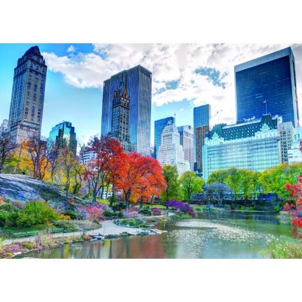 New York Central Park 1000 PC Jigsaw Puzzle