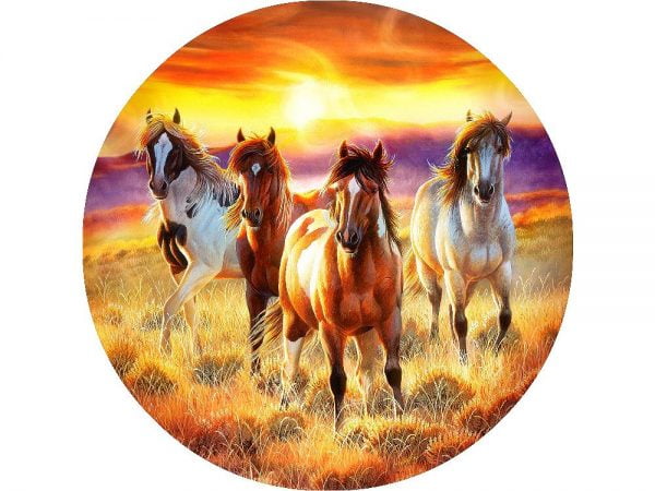 Running in the Sun 500 PC Jigsaw Puzzle