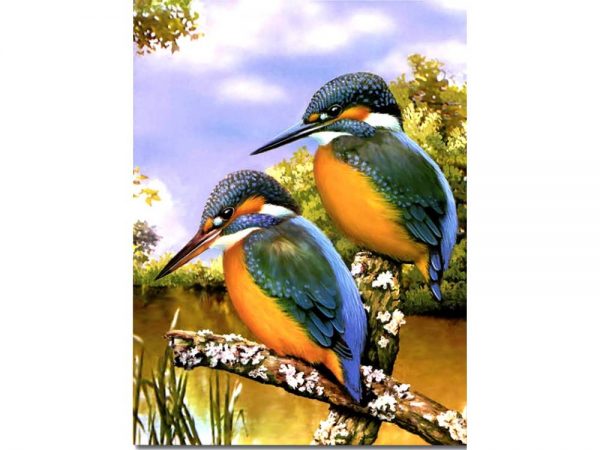Kingfisher Birds 300 PC Jigsaw Puzzle