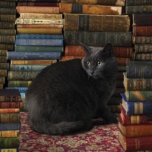 Library Cat 1000 PC Jigsaw Puzzle