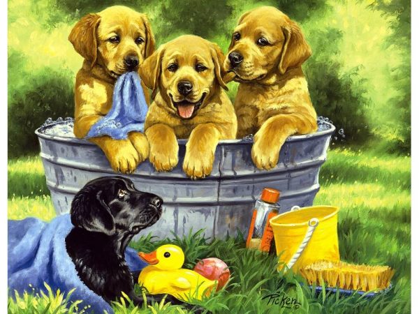 Squeaky Clean 200 PC Jigsaw puzzle