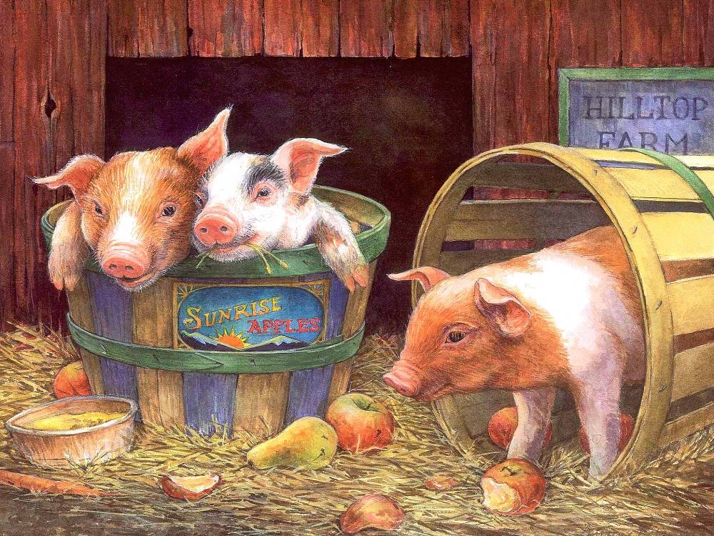 Сельская свинья. Свинья живопись. Деревенские животные. Домашние животные живопись. Свинка картина.