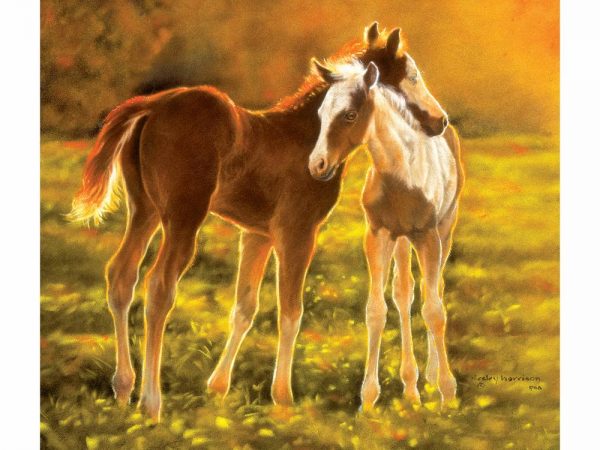 Backlit Foals 550 PC Jigsaw Puzzle