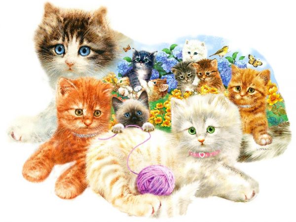 A Litter of Kittens Shaped 1000 PC Jigsaw Puzzle