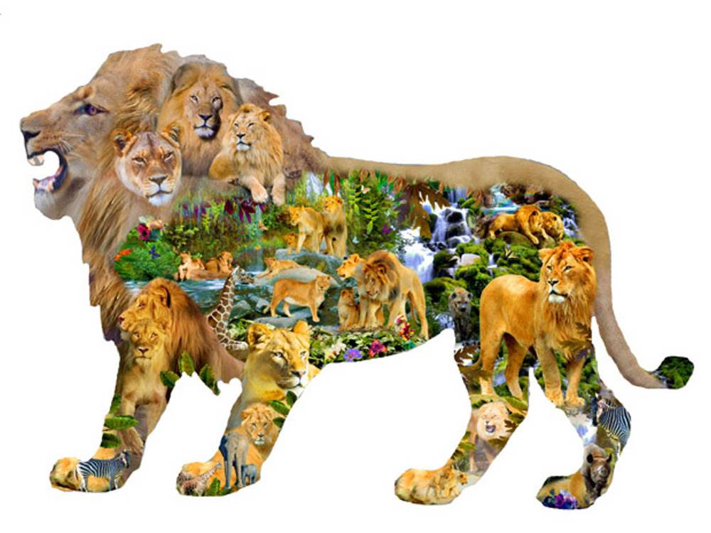 Lions Roar 1000 PC Shaped Jigsaw Puzzle