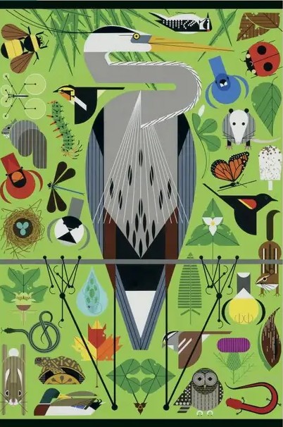 Pomegranate - Charley Harper - Secret Sanctuary 500 Piece Puzzle