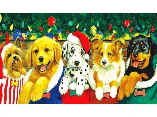 stocking-puppies-1000-pc-jigsaw-puzzle