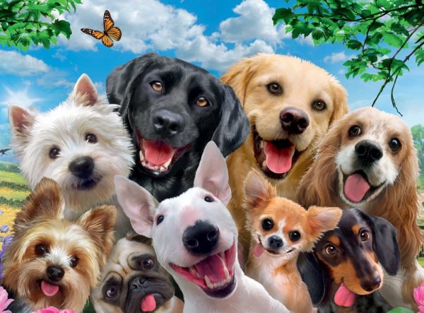 Delighted Dogs 300 PC Jigsaw Puzzle