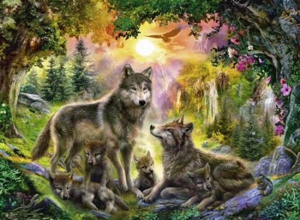 Wolf Family in the Sunshine 500 PC Jigsaw Puzzle
