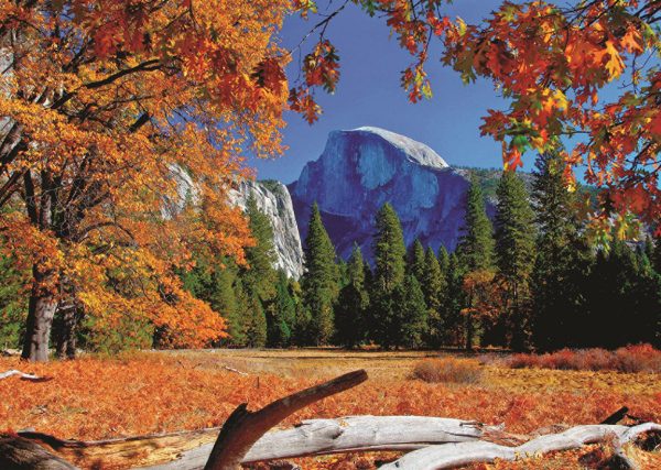 Yosemite National Park 500 Piece Jumbo Jigsaw Puzzle