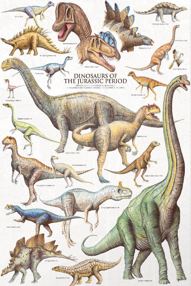 Dinosaurs of the Jurassic Period 1000 Piece Puzzle