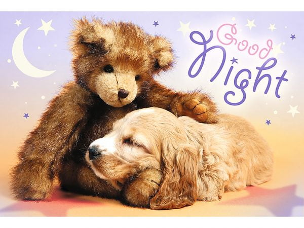 Sweet & Lovely Goodnigh 60 Piec Children's Puzzle