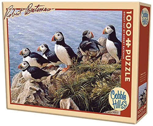 Bright Day 1000 Piece Jigsaw Puzzle - Cobble Hill
