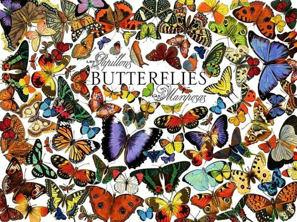 Butterflies 1000 Piece Jigsaw Puzzle - Cobble HIll