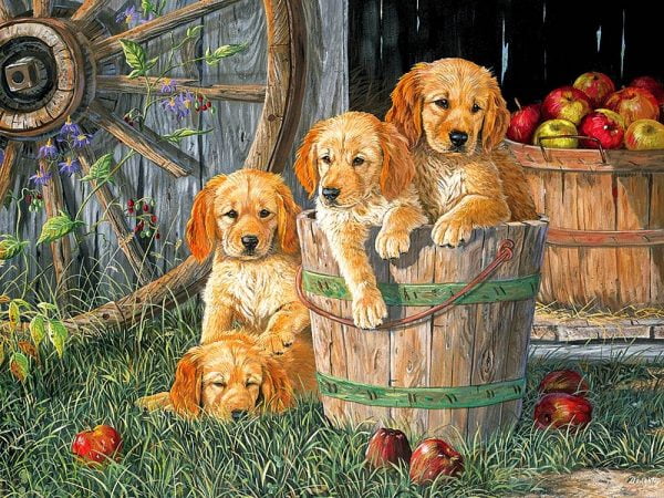 Puppy Pail 400 Piece Family Format Puzzle by Cobble Hill