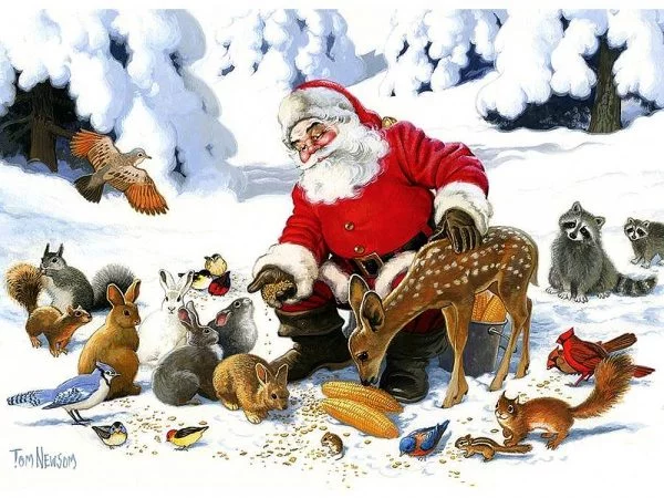 Santa Claus & Friends Family Pieces 350 by Cobble Hill