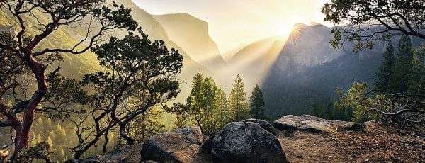 Yosemite Park 1000 Piece Panoramic Puzzle - Ravensburger