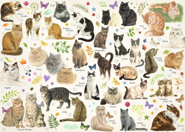 Cats Poster 1000 Piece Jigsaw Puzzle by Jumbo