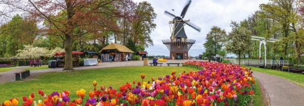 De Keukenhof, Holland 1000 Piece Panoramic Puzzle