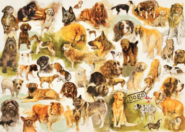 Dogs Poster 1000 Piece Jigsaw Puzzle by Jumbo