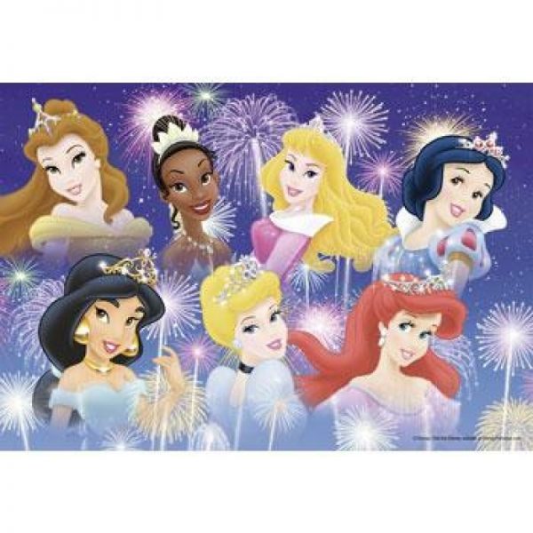 Disney The Princesses Gathering 2 x 24 Piece Puzzle