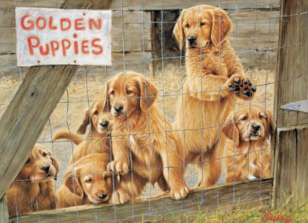 Golden Puppies 500 Piece Cobble Hill Jigsaw Puzzle