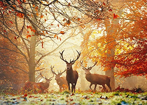 Magic Forests - Stags 1000 Piece Heye Jigsaw Puzzle