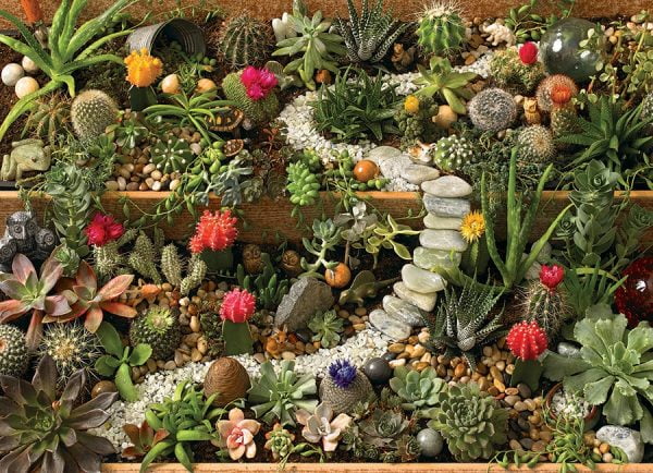 Succulent Garden 1000 Piece Cobble Hill Jigsaw Puzzle