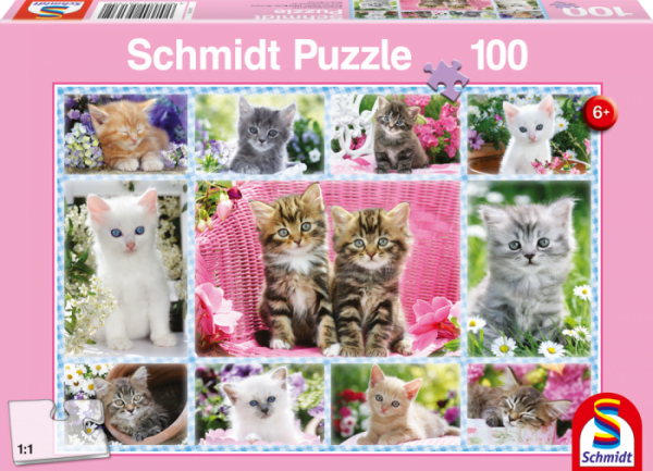 Kittens 100 Piece Jigsaw Puzzle