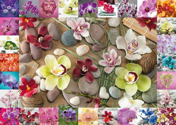 Assaf Frank - Orchids 1000 Piece Jigsaw Puzzle - Schmidt