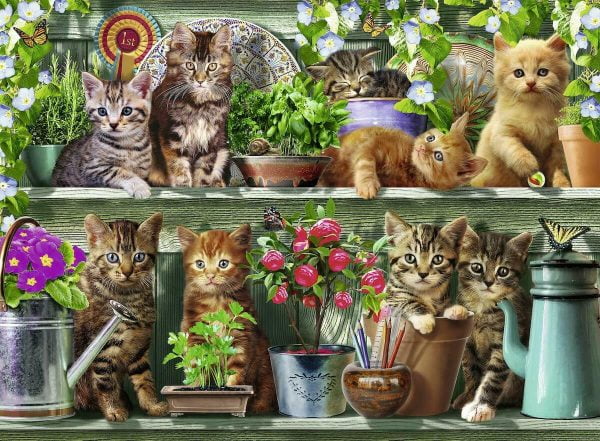 Cats on the Shelf 500 Piece Jigsaw Puzzle - Ravensburger