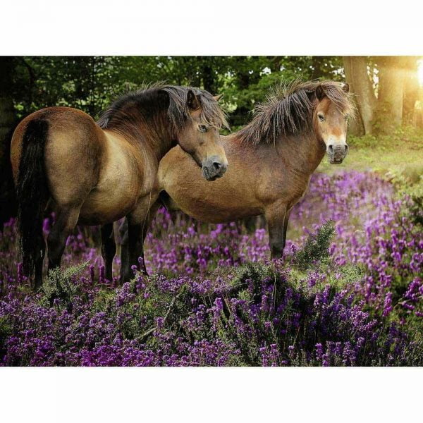 Ponies in the Flowers 500 Piece Jigsaw Puzzle - Ravensburger