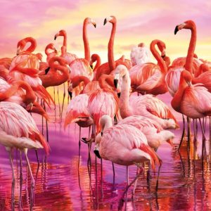 Flamingo Dance Panoramic 1000 Piece Jigsaw Puzzle - Clementoni
