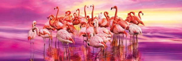 Flamingo Dance Panoramic 1000 Piece Jigsaw Puzzle - Clementoni