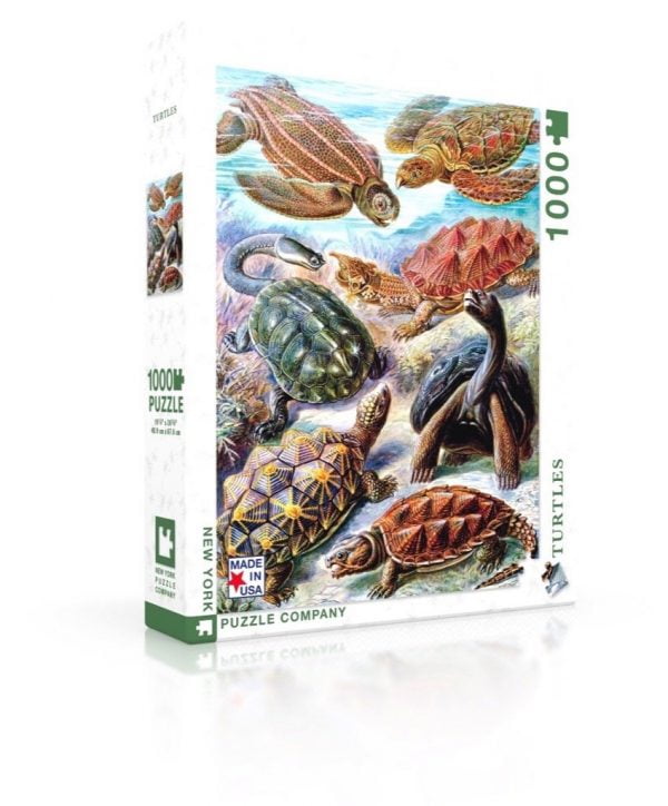 New York Puzzle Company - Turtles 1000 Piece Jigsaw Puzzle