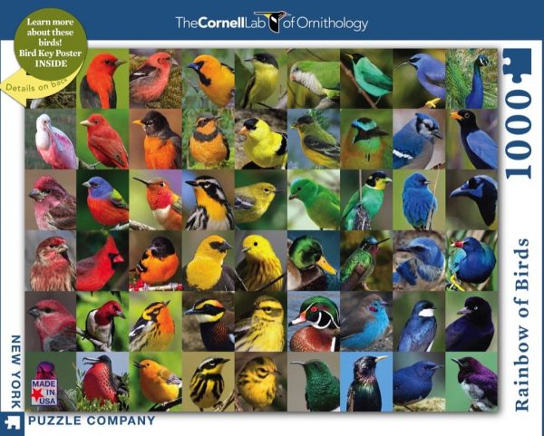 Rainbow of Birds 1000 Piece Jigsaw Puzzle - New York Puzzle Company