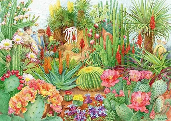 The Flower Show - Desert Plants 1000 Piece Jigsaw Puzzle - Falcon de Luxe