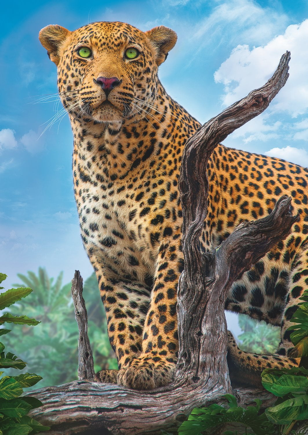 WILD LEOPARD 500 PIECE JIGSAW PUZZLE - TREFL