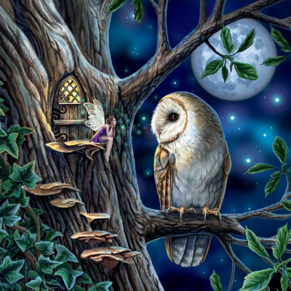 Night Spirit - Fairy Tales 550 Piece Puzzle - Ceaco