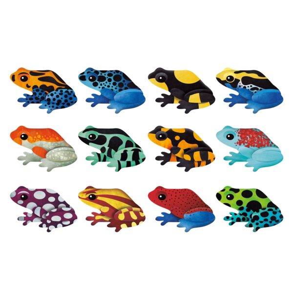Shaped Memory Match Tropical Frogs - Mudpuppy