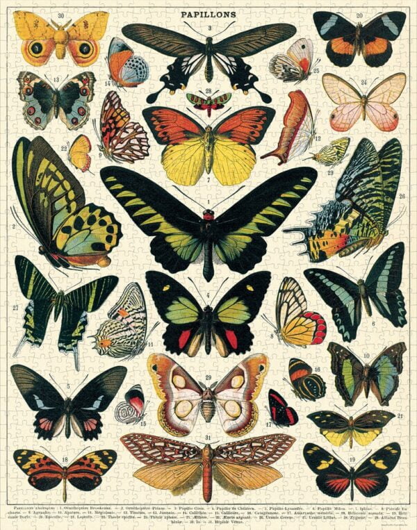 Vintage Puzzle - Butterflies 1000 Piece - Cavallini