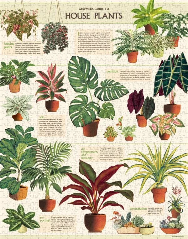 Vintage Puzzle - House Plants 1000 Piece - Cavallini