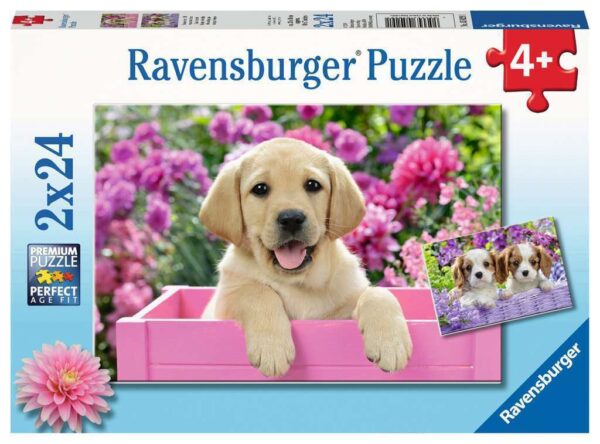 Me and My Pal 2 x 24 Piece Puzzle - Ravensburger
