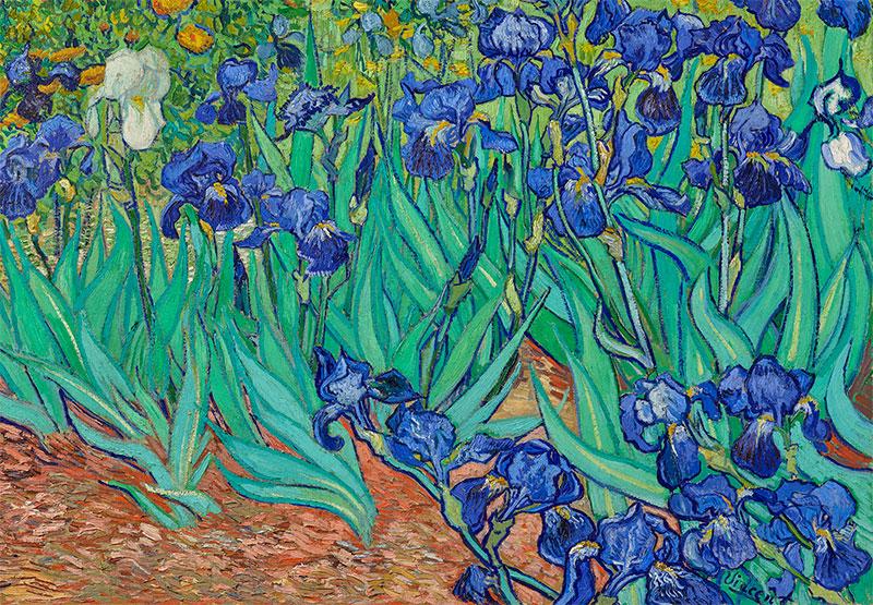 Van Gogh Irises 1000 Piece Jigsaw Puzzle | Puzzle Palace Australia