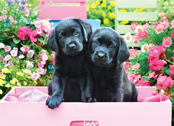 Black Labs in Pink Box 500 Piece Puzzle - Eurographics