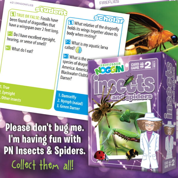 Professor Noggin - Insects and Spiders Card Game