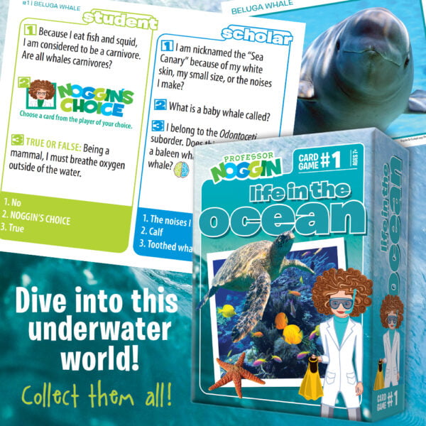 Professor Noggin - Life in the Ocean Card Game